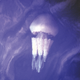 Illustration for article titled The Mystery Of The Glowing Jellyfish In The Sky